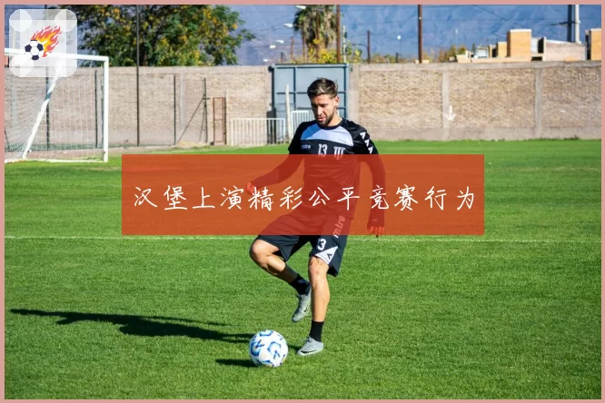 汉堡上演精彩公平竞赛行为